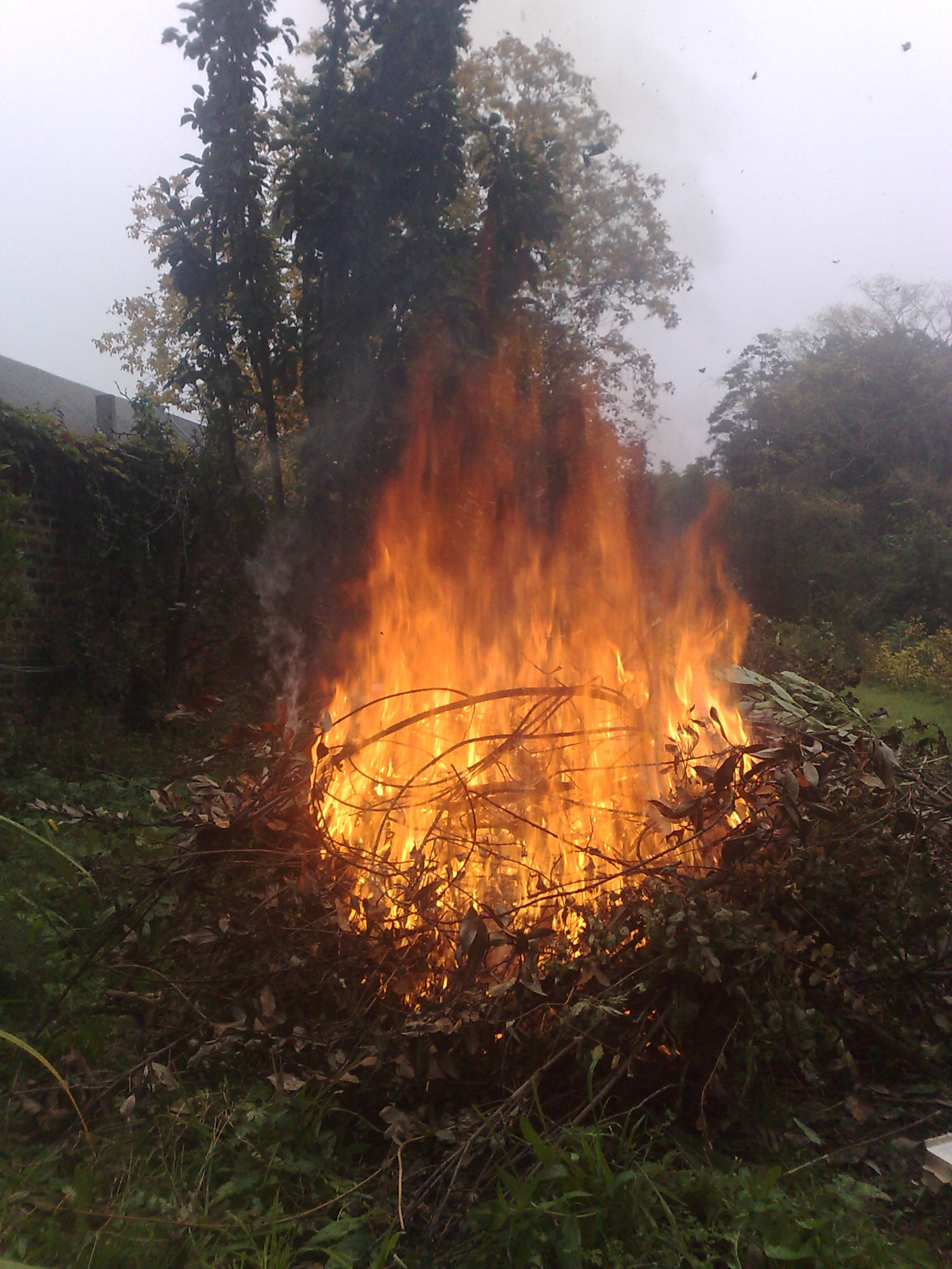 Gilly. Propriété. Feu de camp. 01.