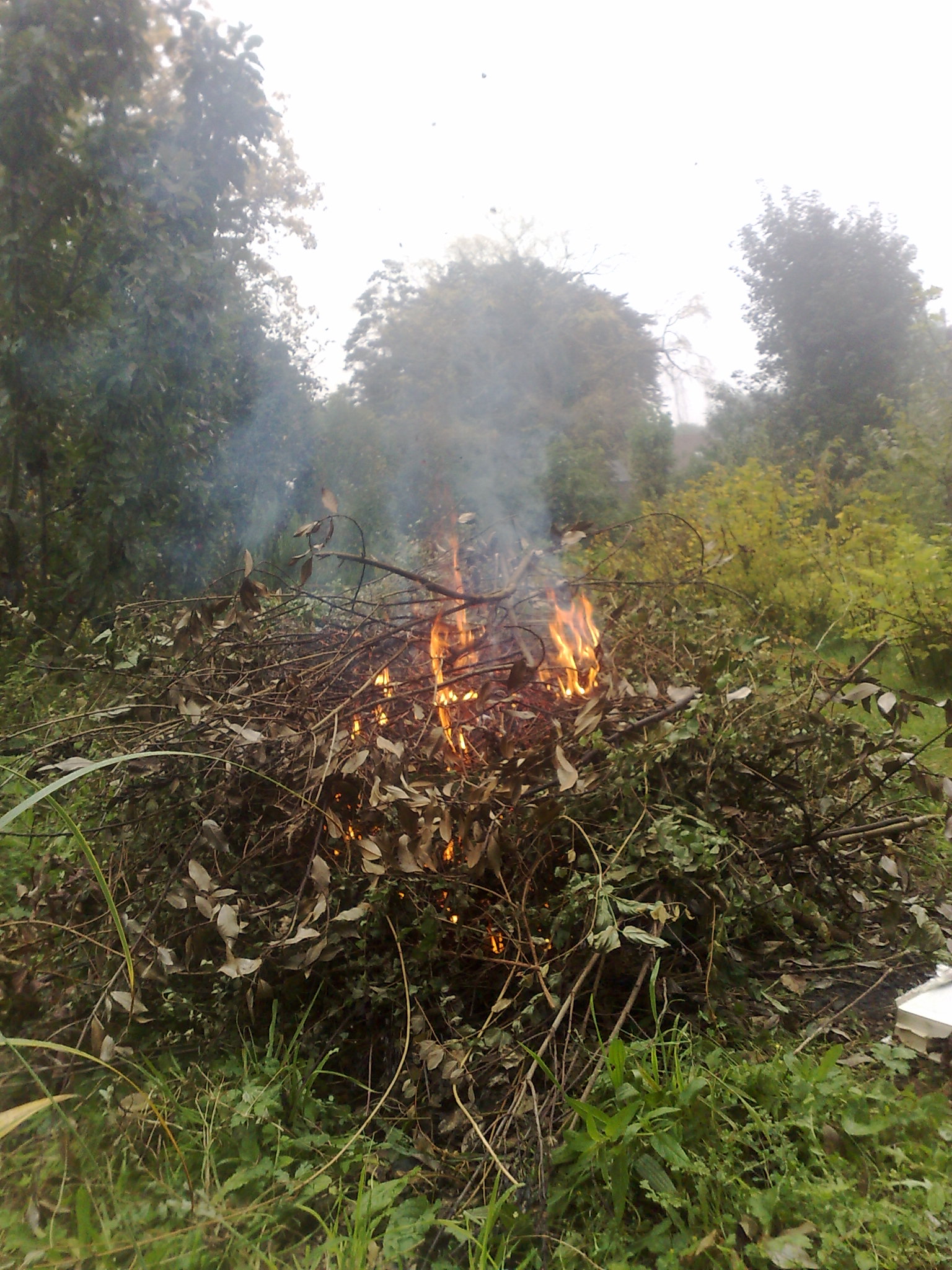 Gilly. Propriété. Feu de camp. 02.