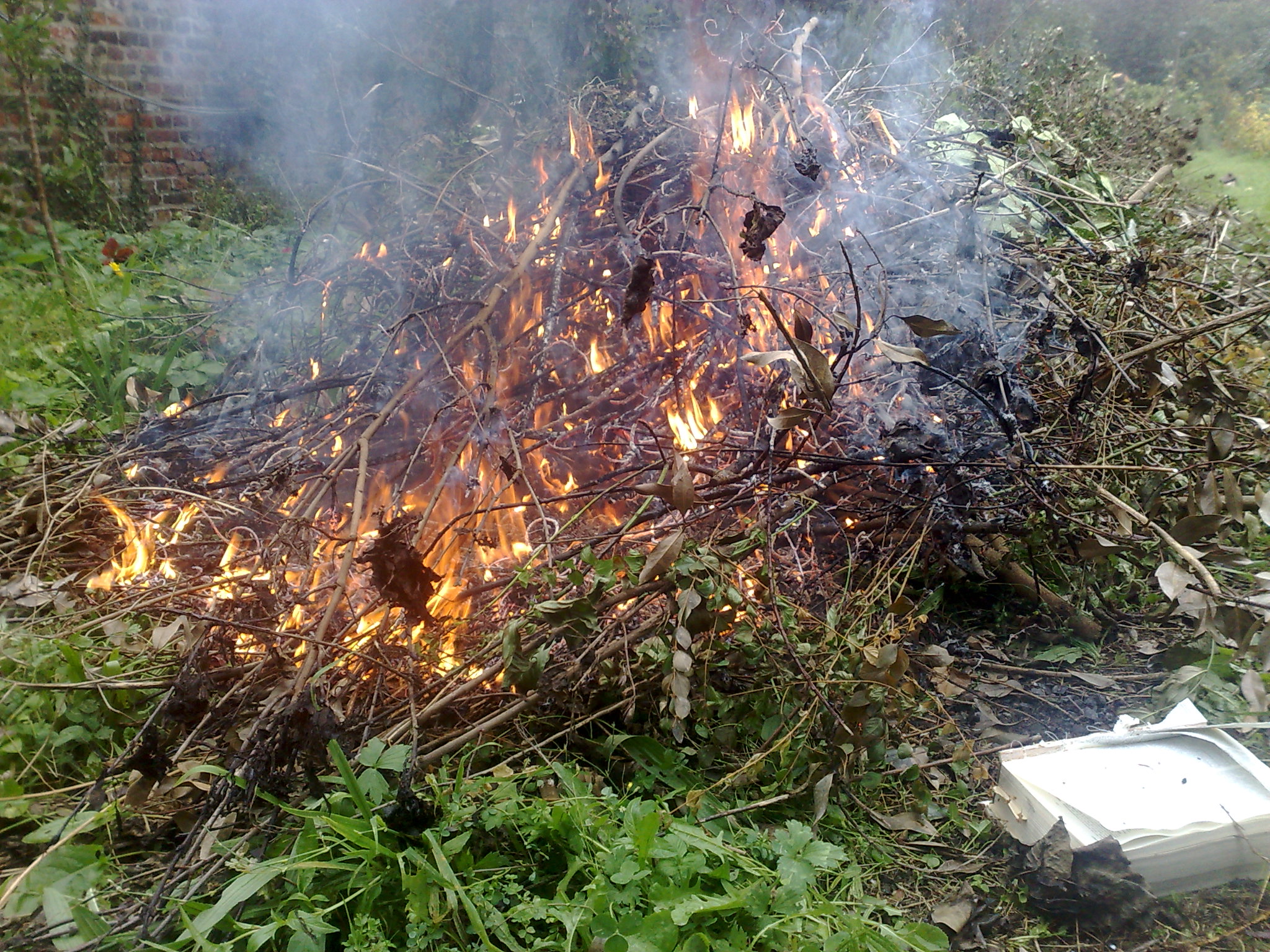 Gilly. Propriété. Feu de camp. 03.