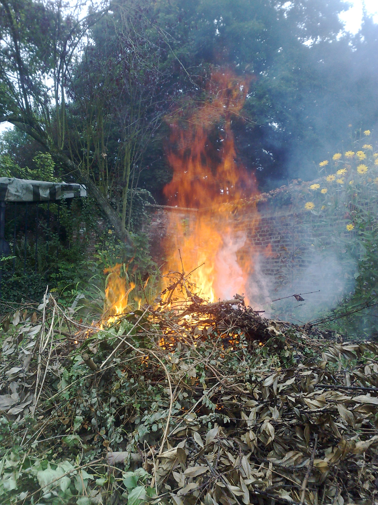 Gilly. Propriété. Feu de camp. 04.