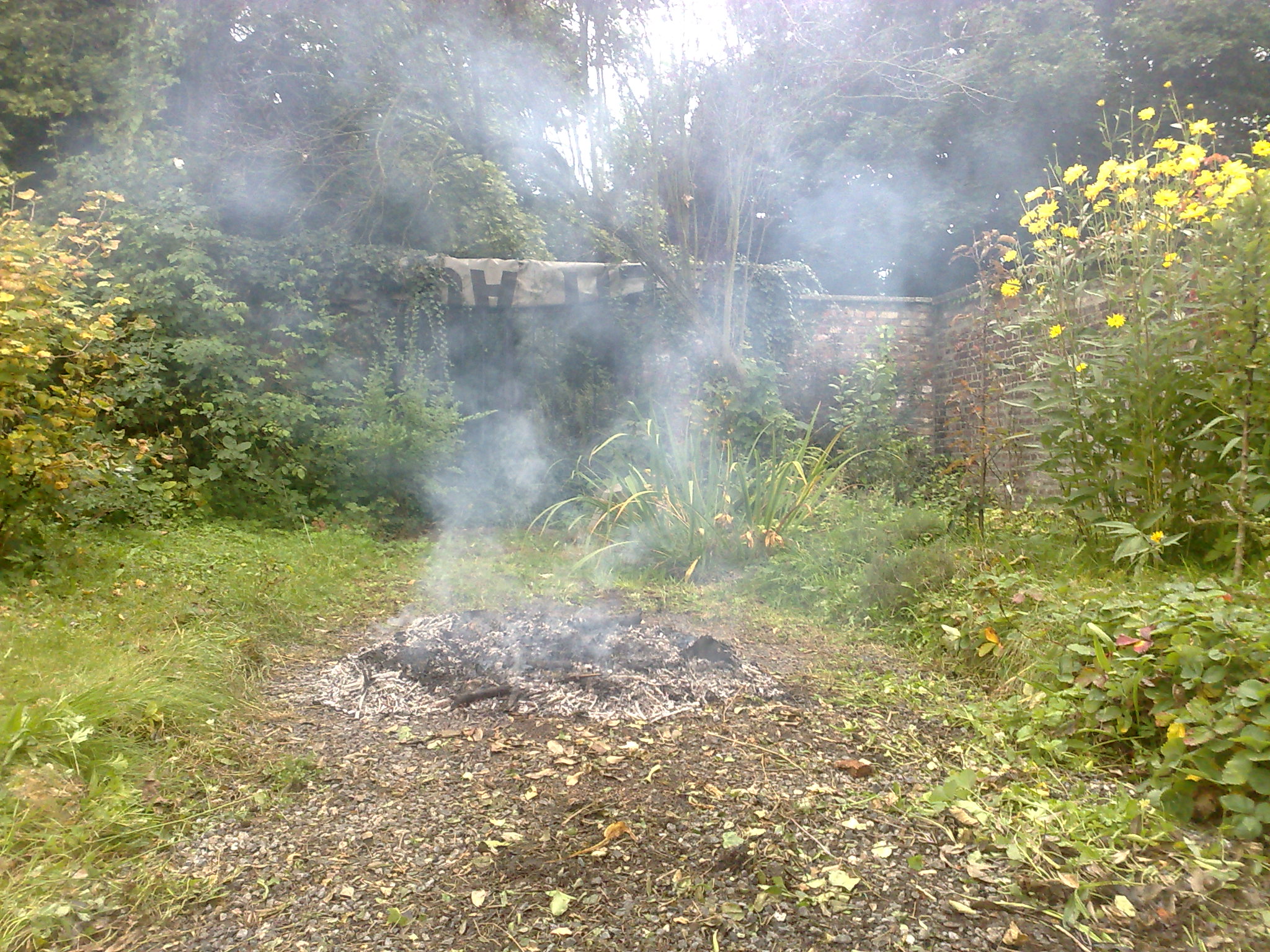 Gilly. Propriété. Feu de camp. 05.