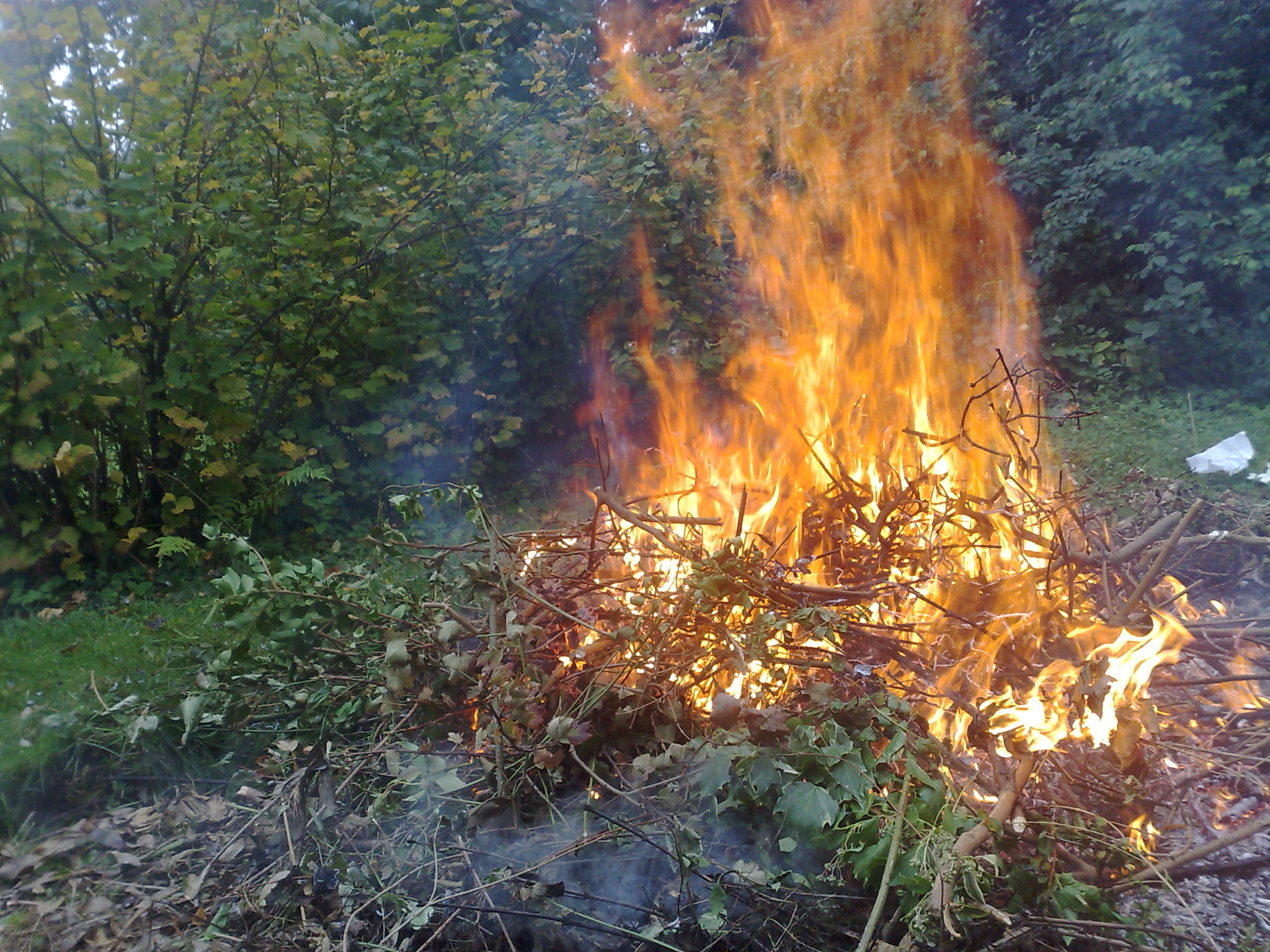 Gilly. Propriété. Feu de camp. 06.